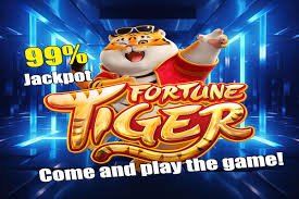 jetwin Baccarat Strategy Myanmar ကစားသူ Card Game Strategy ကျင့်သုံးနေမြင်ကွင်း